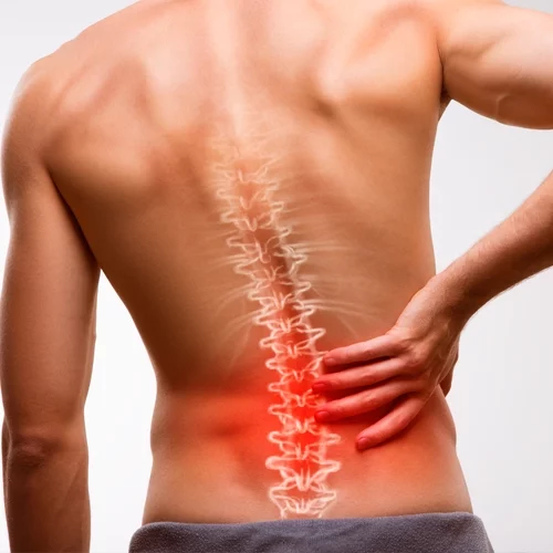 Chiropractic Breese IL Back Pain